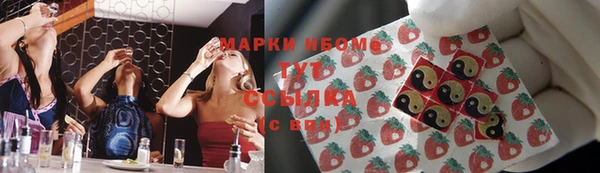 гашик Аркадак