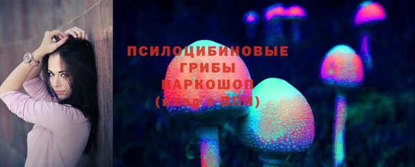 герыч Арсеньев