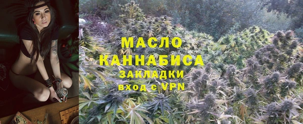 гашик Аркадак