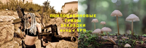 трава Баксан