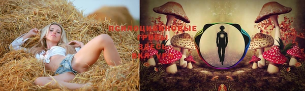 соль курить ск Балабаново