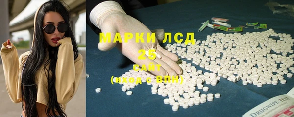 гашик Аркадак
