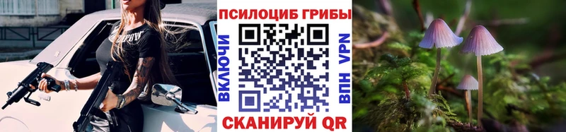 хочу наркоту omg ONION Псилоцибиновые грибы прущие грибы Тайшет